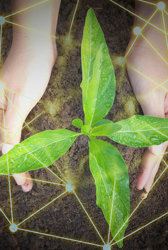 让客户满意、让员工满意、让股东满意